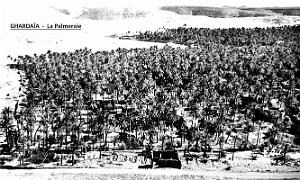 Ghardaia - La Palmeraie